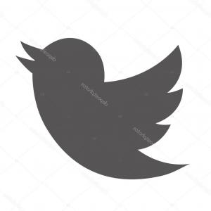 300x300 Twitter Bird Social Media Icon Vector Shopatcloth