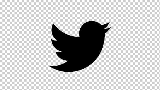 530x300 New Twitter Logo (Eps Psd )