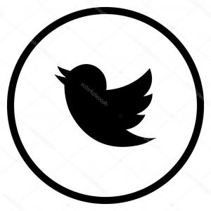 300x300 Stock Illustration Modern Twitter Bird Icon Shopatcloth