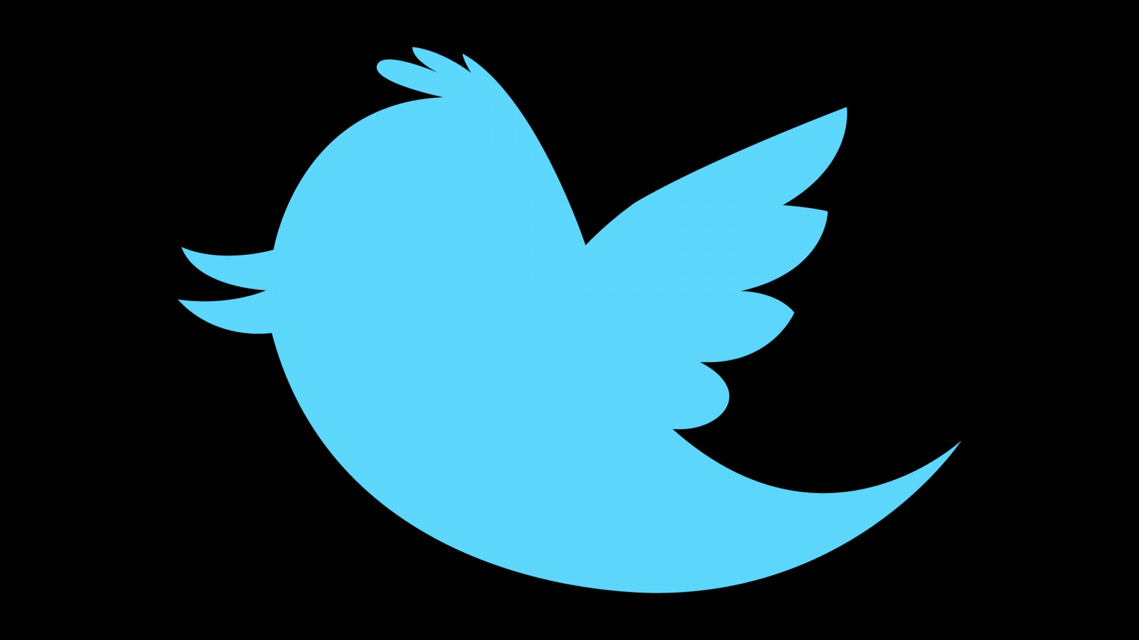 2304x1296 Twitter Logo Clip Download Free