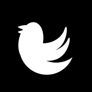 300x300 Black And White Internet Icon Set Gm Lazttweet