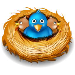 256x256 Twitter Nest Icon