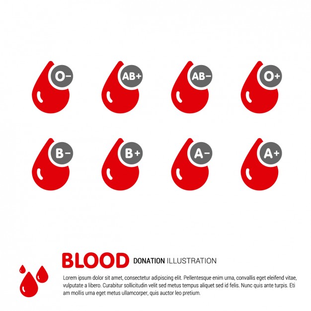 626x626 Blood Type Vectors, Photos And Psd Files Free Download