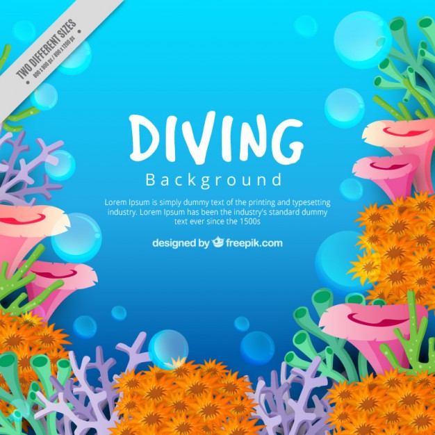 626x626 Under The Sea Vectors, Photos And Psd Files Free Download