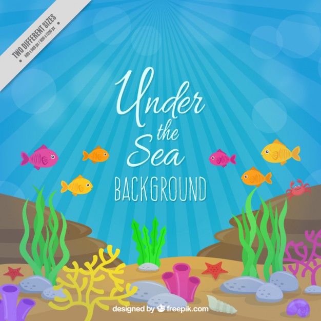626x626 Colored Fishes And Seaweeds Under The Sea Background Vector Free
