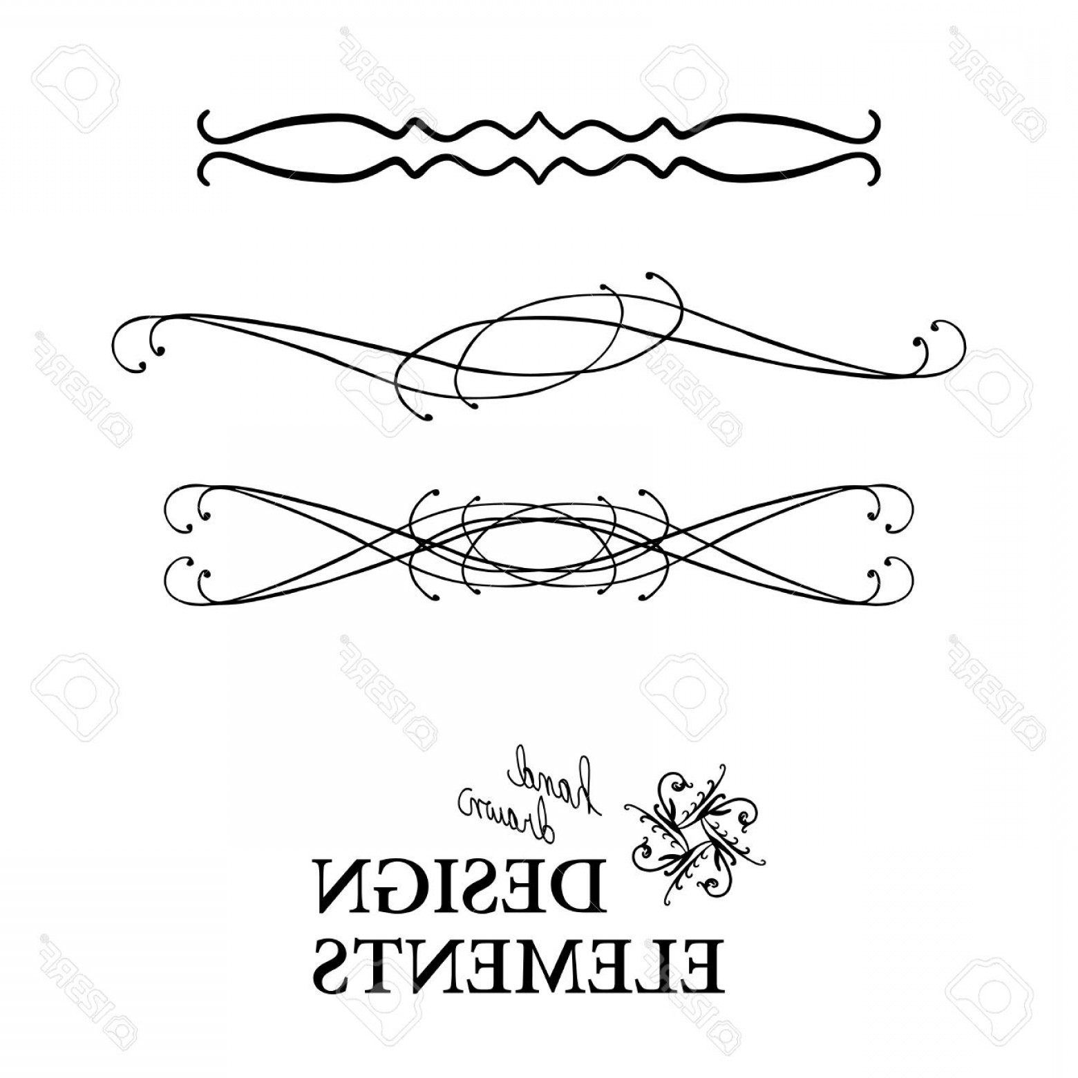 1560x1560 Photostock Vector Vector Design Element Beautiful Fancy Curls And