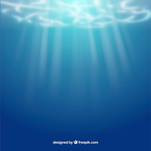 626x626 Underwater Vectors, Photos And Psd Files Free Download