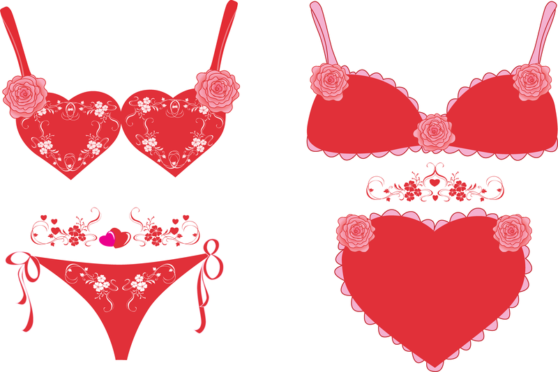 800x534 Lingerie Vector
