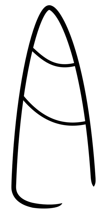 450x900 19 Horn Vector Unicorn Huge Freebie! Download For Powerpoint