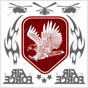 300x300 Air Force Eagle Team Vector Art Sohadacouri