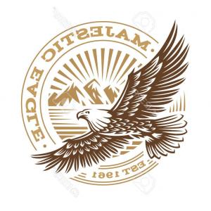 300x300 Us Air Force Military Design Vector Sohadacouri