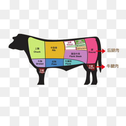 260x260 Us Constitution Png Images Vectors And Psd Files Free Download