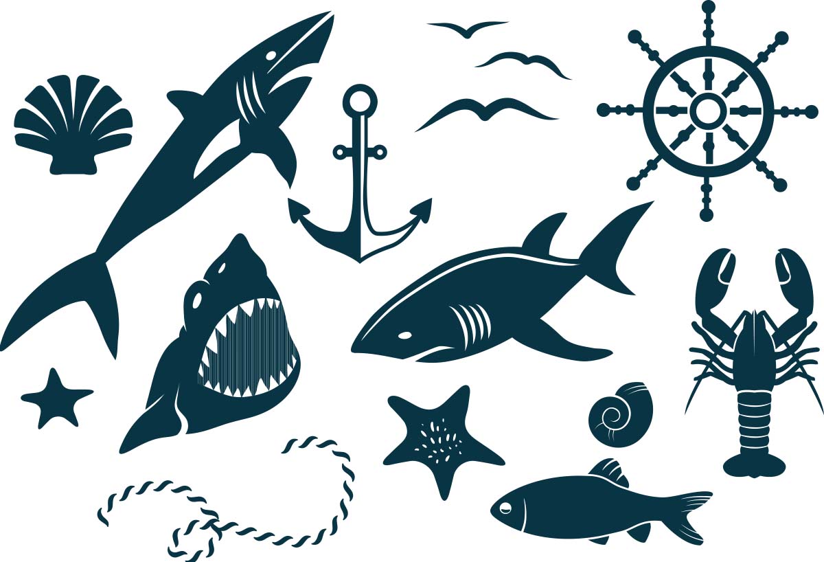 1200x818 Decorative Marine Elements Vector Free Download