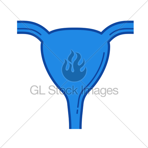 500x500 Uterus Line Icon. Gl Stock Images