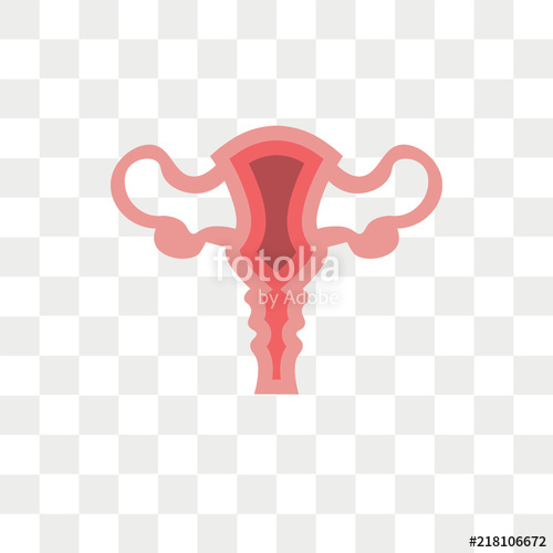500x500 Uterus Vector Icon Isolated On Transparent Background, Uterus Logo