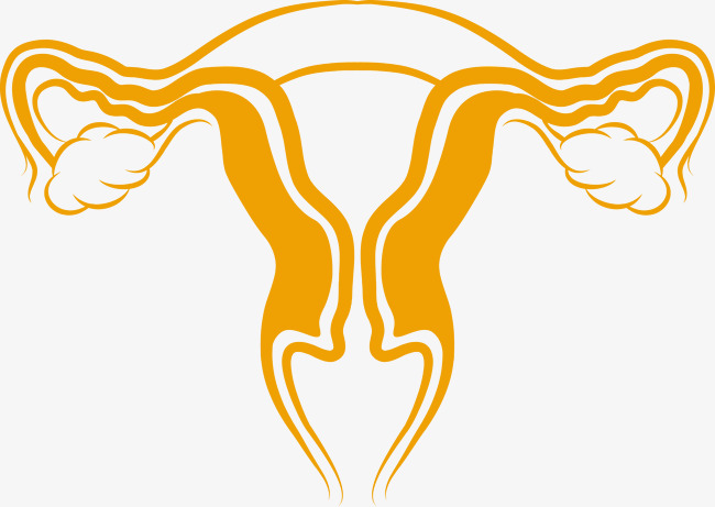 650x461 Vector Material Uterus, Vector Womb, Uterine Photos, Creative