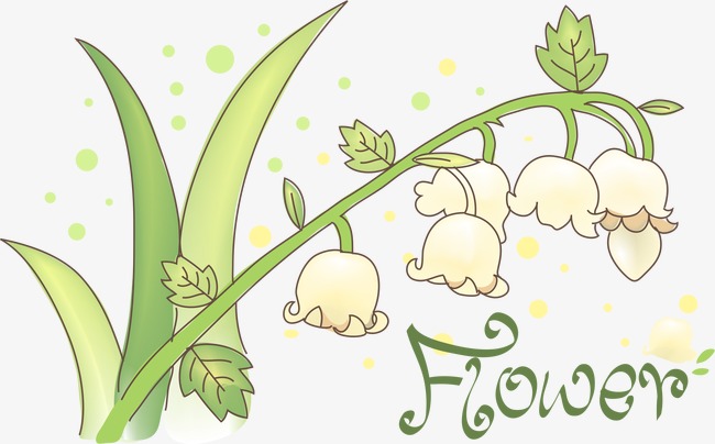 650x404 Hand Painted Lily Of The Valley, Vector, Cartoon, Hand Painted Png