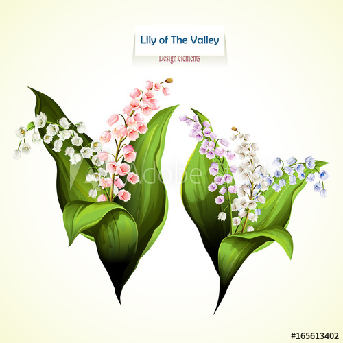 500x500 Lily Of The Valley. Vector Illustration Of Two Bouquet. Can Be
