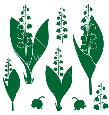 380x400 Lily Of The Valley Vector 1657872