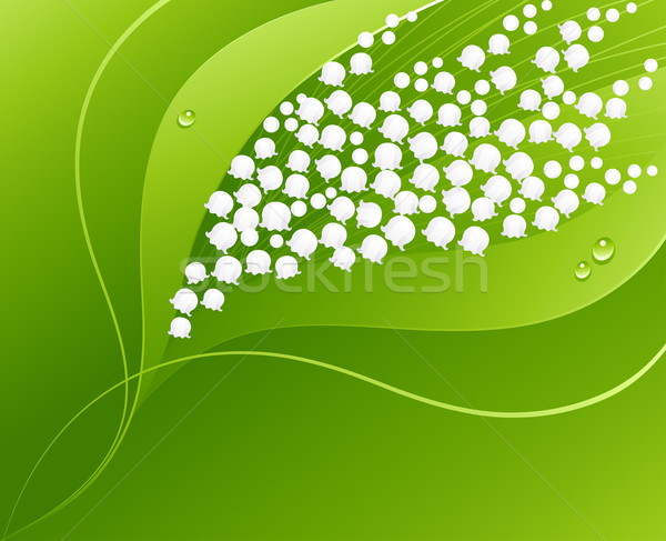 600x487 Lily Of The Valley. Vector Illustration. Vector Illustration