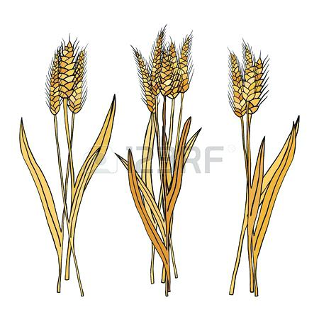 450x450 Wheat Sheaves Vector Set Of Cartoon Doodle Van Gogh Landscape With