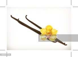 275x199 Vanilla, Vector Icon Stock Vectors