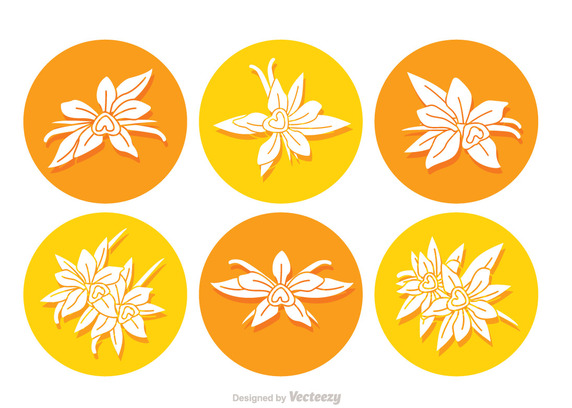572x408 Vanilla Flower Round Icon Vector Free Vector Download In .ai