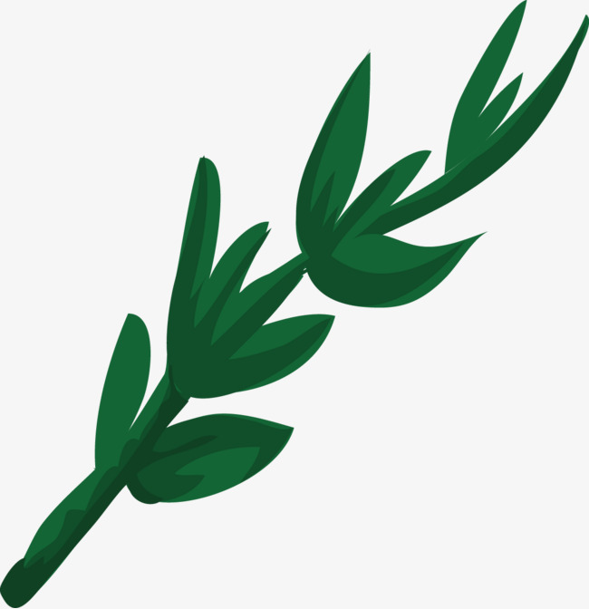 650x672 Vanilla Vector Decorative Elements, Decoration, Vector, Flat Png