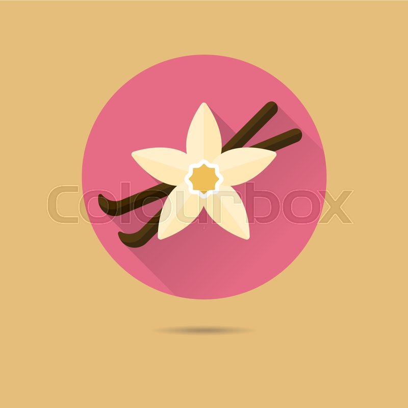 800x800 Vanilla Blossom And Pods Flat Design Long Shadow Vector Icon