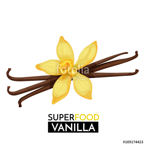 500x500 Vanilla Vector Icon. Stock Image And Royalty Free Vector Files On