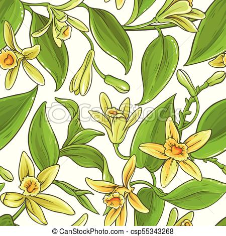 450x470 Vanilla Vector Pattern. Vanilla Branches Vector Pattern On White