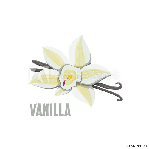 500x500 Logo Vanilla Vector Farm Design