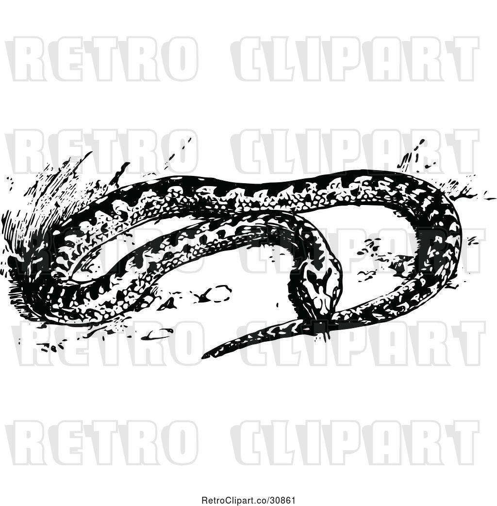 1024x1044 Vector Clip Art Of Retro Adder Snake By Prawny Vintage