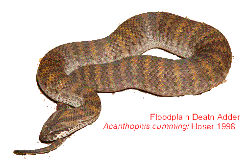 504x341 Vector Adder