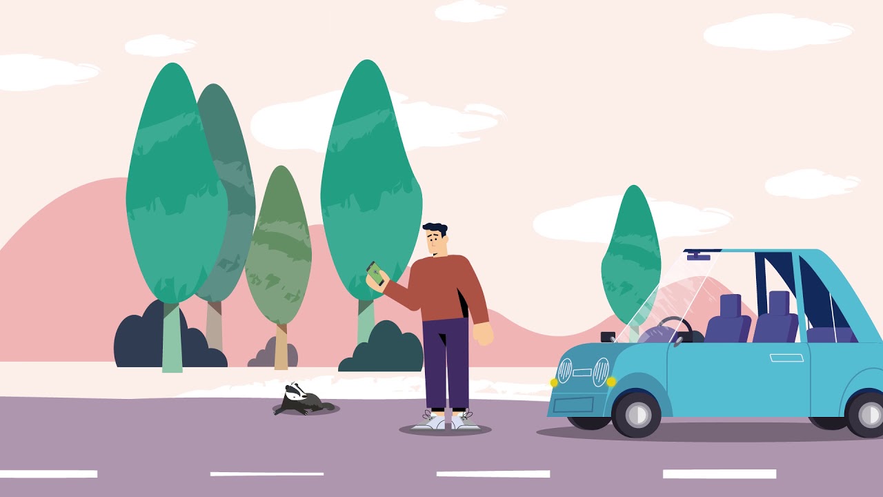 1280x720 Zedem Animations Types Of Animation