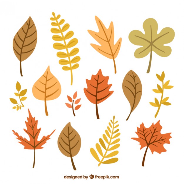 626x626 Fall Vector Art Desktop Backgrounds