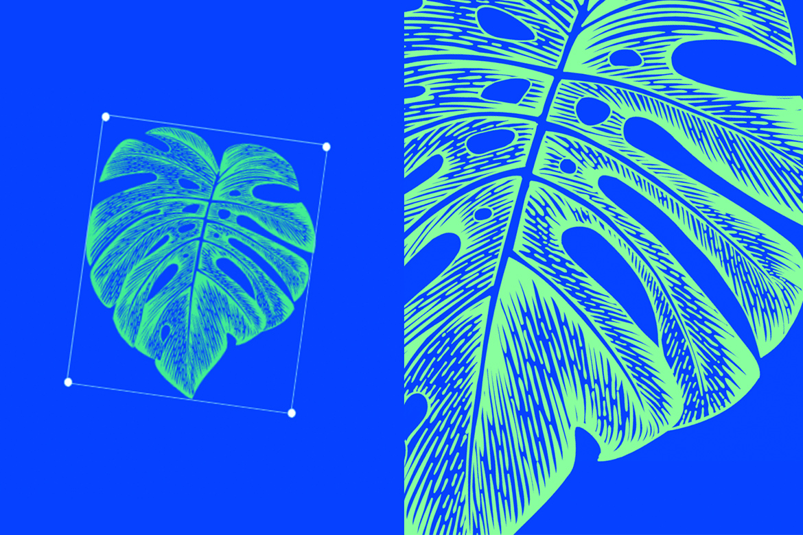 1170x780 Vector Illustrations The Ultimate Free Collection For Your Website