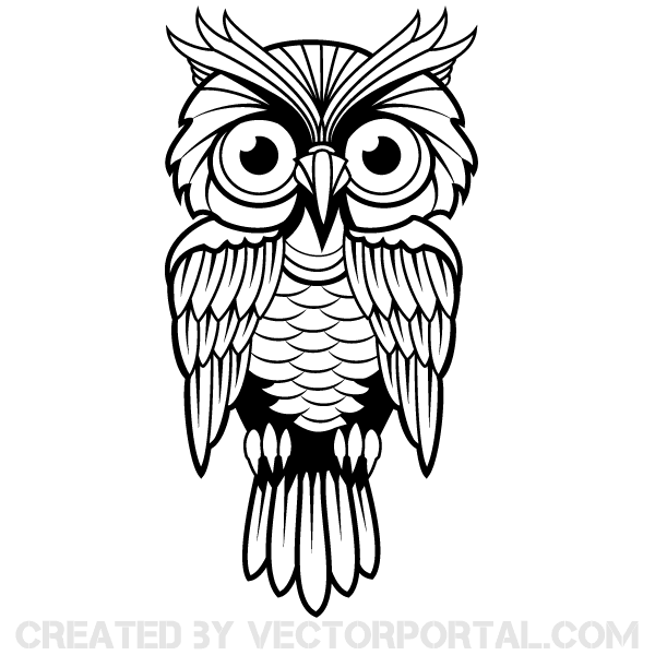 600x600 Owl Vector Art