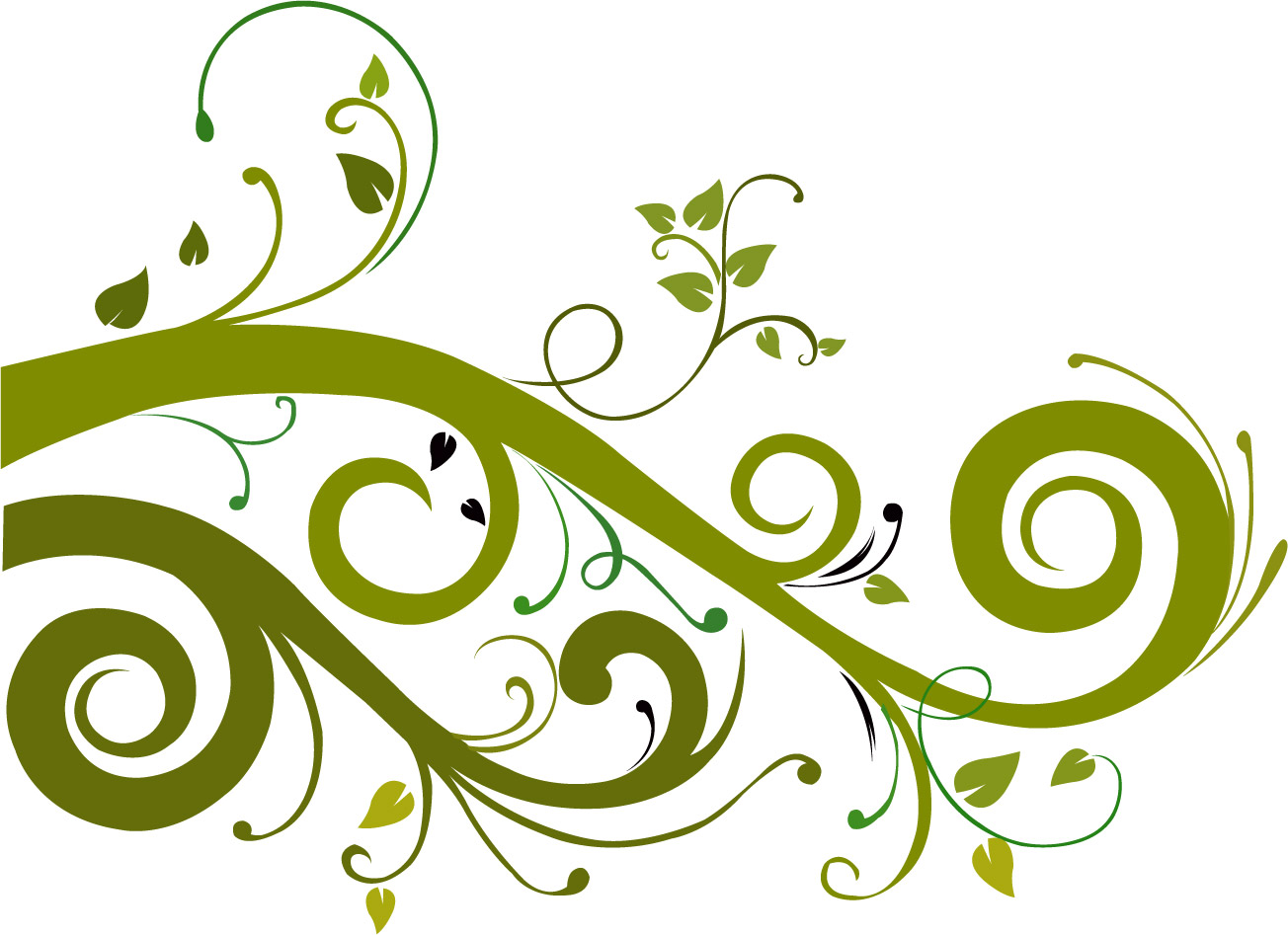 1304x947 Graphic Flower Vector