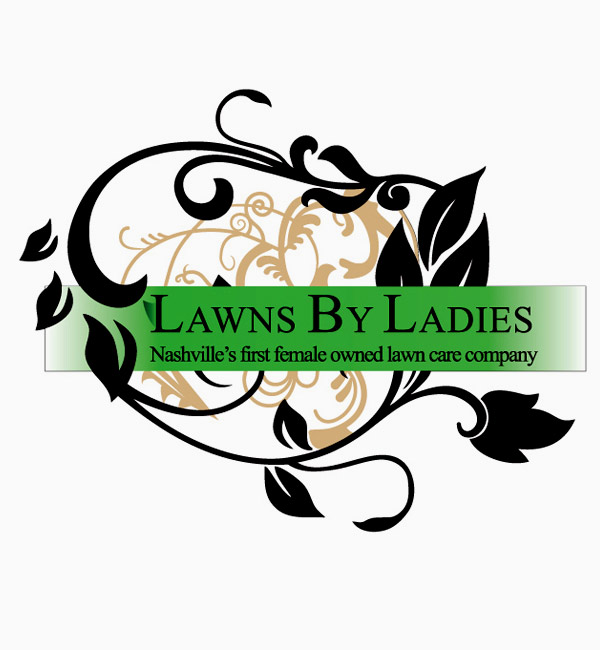 600x650 Vector Art Digital Suntech