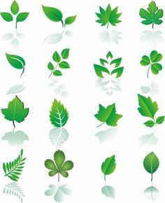 236x290 Free Graphic Design Green Leaf Design Elements Free Vector