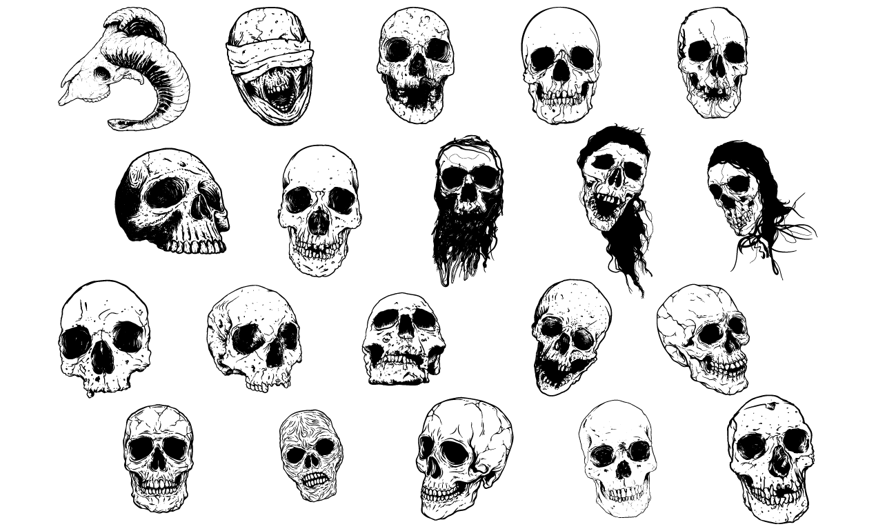 1270x770 Hand Illustrated Skulls Vector Pack