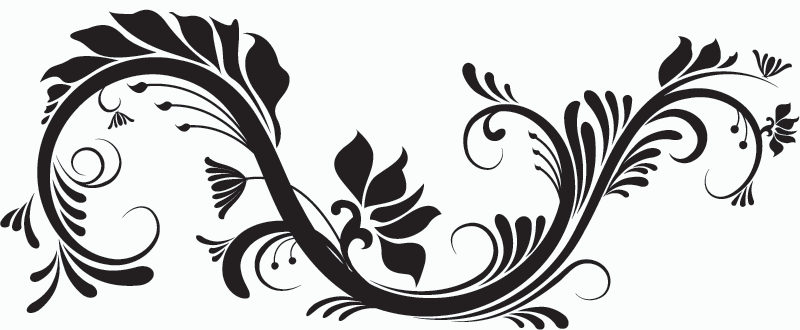 800x330 Free Vector Png Transparent Vector.png Images. Pluspng