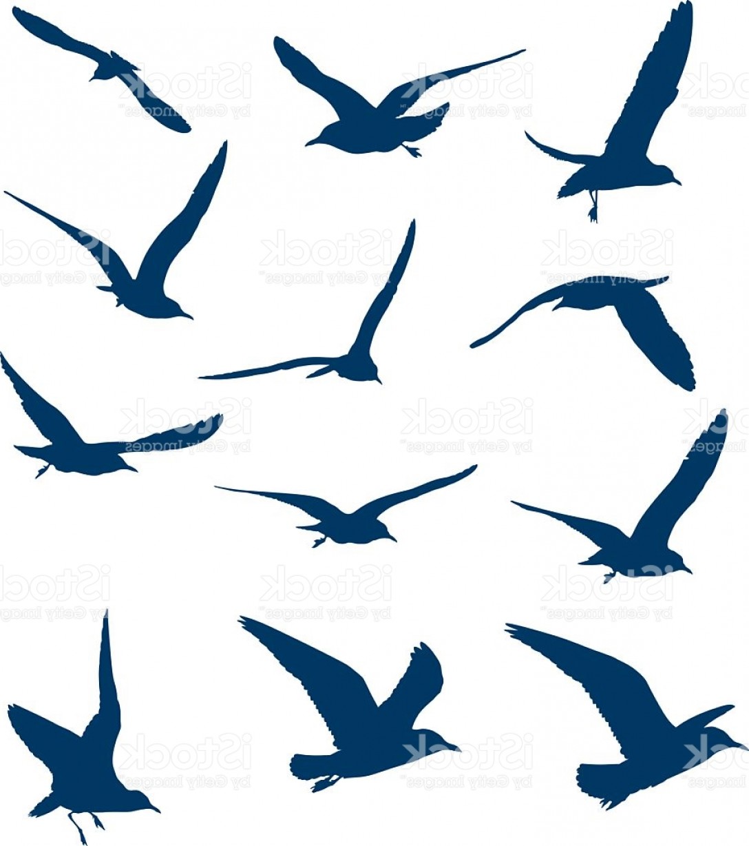 1088x1228 Bird Flying Vector Art Sohadacouri