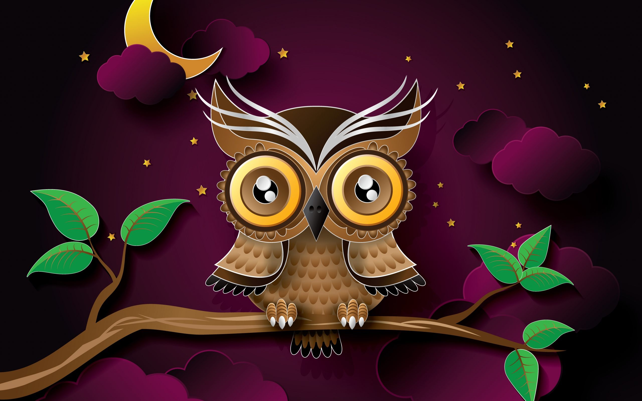 2560x1600 Owl Vector Art Wallpaper