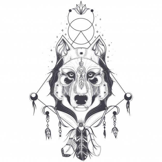 626x626 Wolf Vectors, Photos And Psd Files Free Download