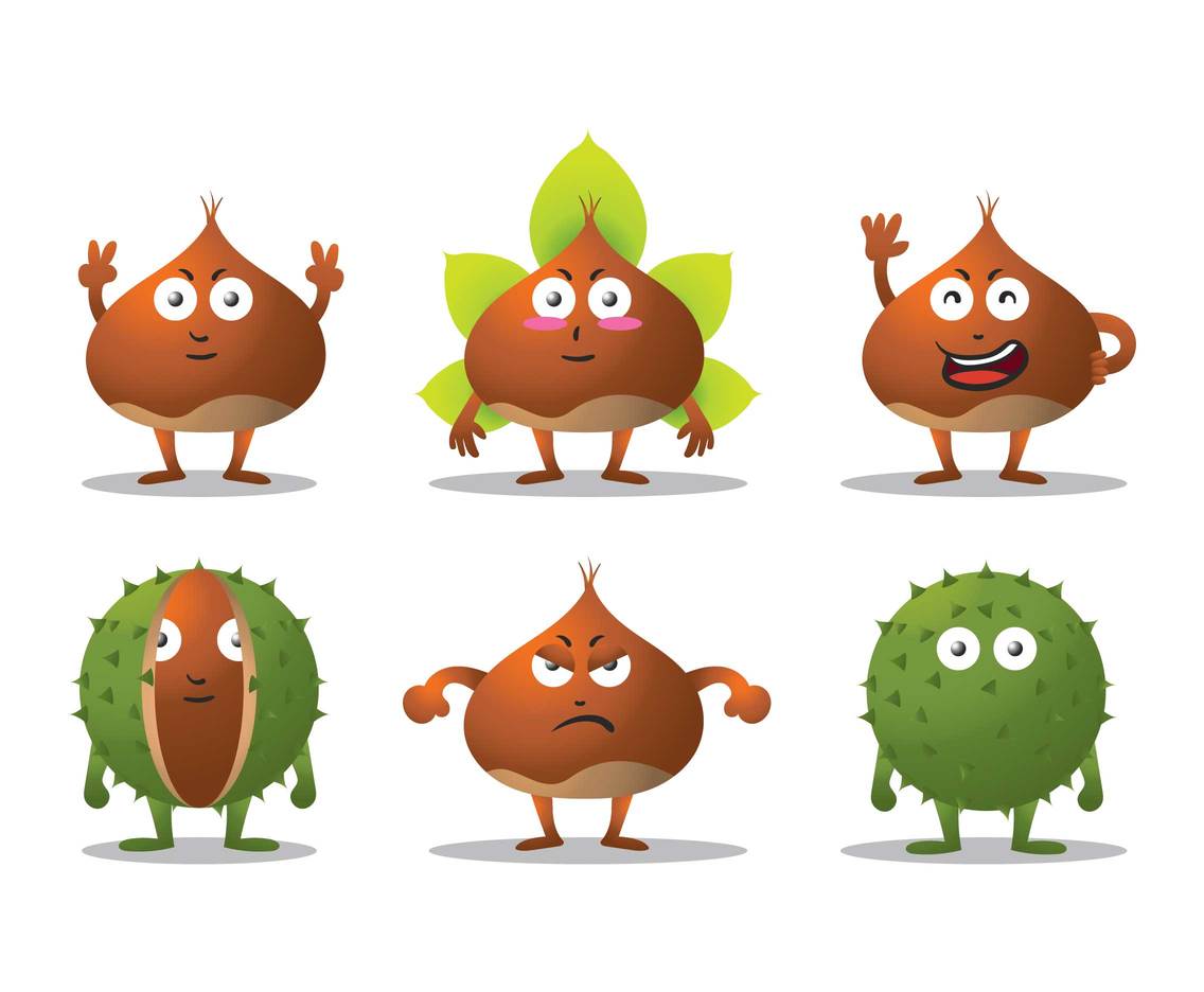 1136x936 Chestnut Vector Set Vector Art Amp Graphics