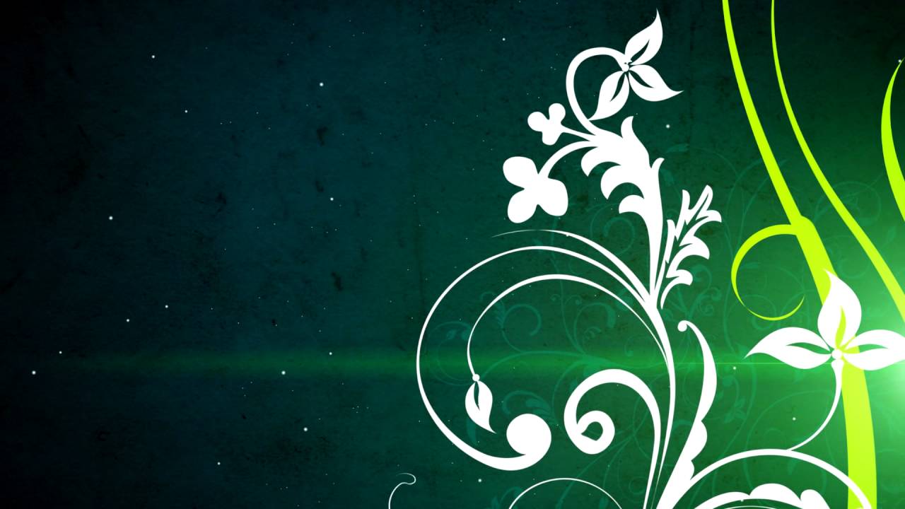 1280x720 Vector Flower