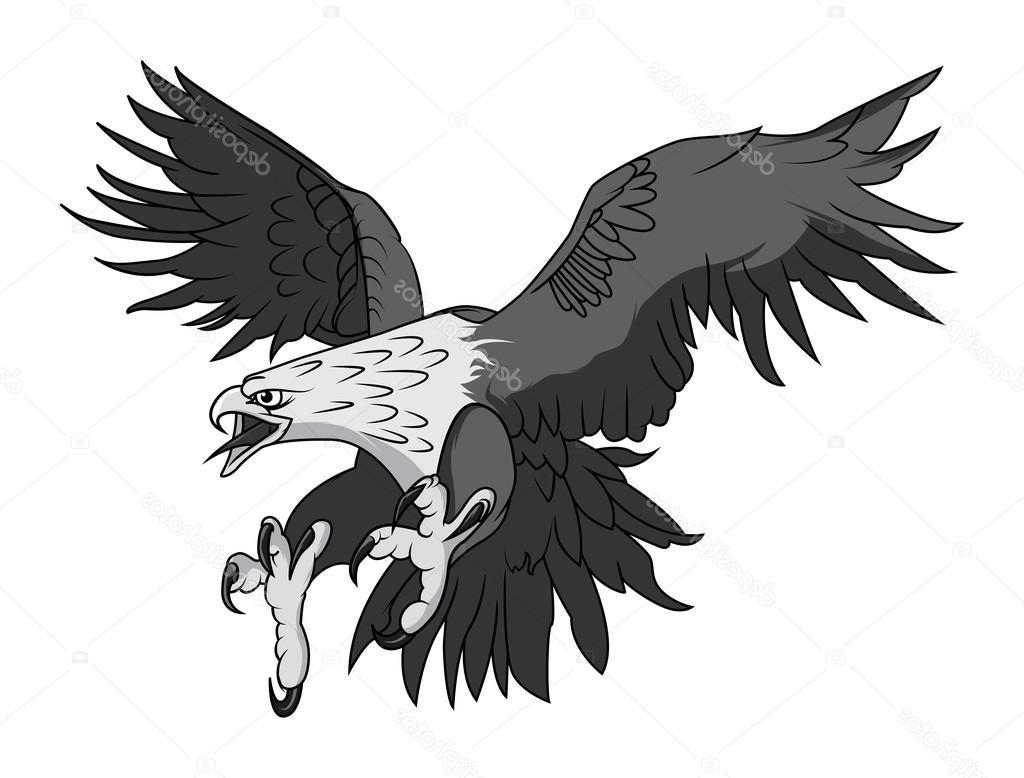 1024x778 Hd Stock Illustration Vector Bald Eagle Or Hawk Image