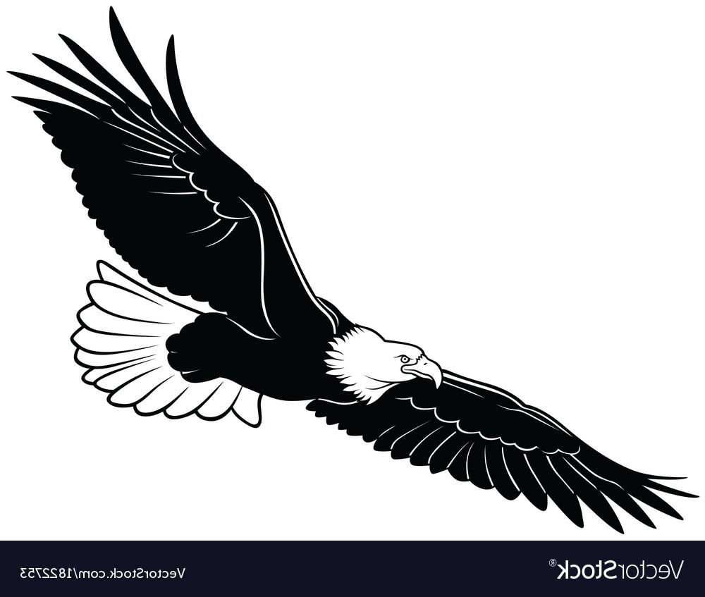 1000x847 Unique Flying Bald Eagle Vector Library